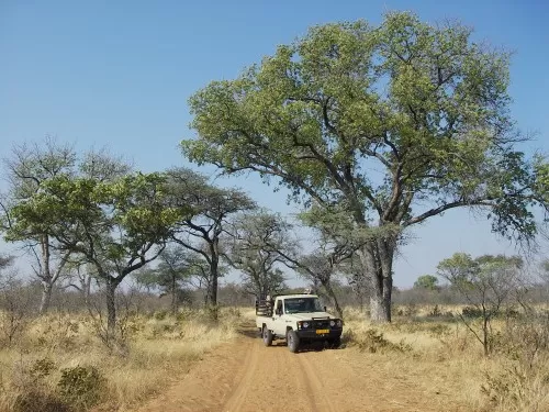 On The Way To The Blind